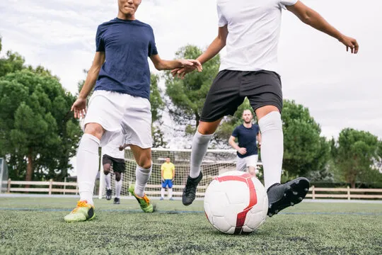 拼搏体育app 界面展示